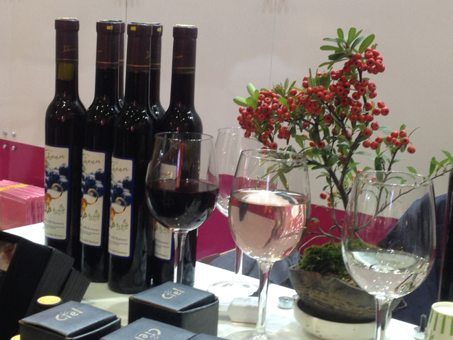 Thưởng thức rượu vang Yeongcheon tại Seoul Food Week 2016 ảnh 5