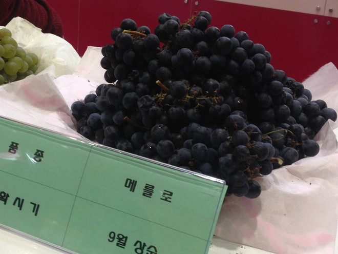 Thưởng thức rượu vang Yeongcheon tại Seoul Food Week 2016 ảnh 2