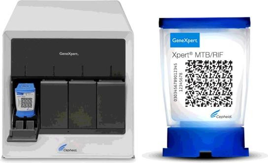 Hệ thống xét nghiệm Gene Xpert nhanh chóng phát hiện virus SARS-CoV-2 ảnh 1