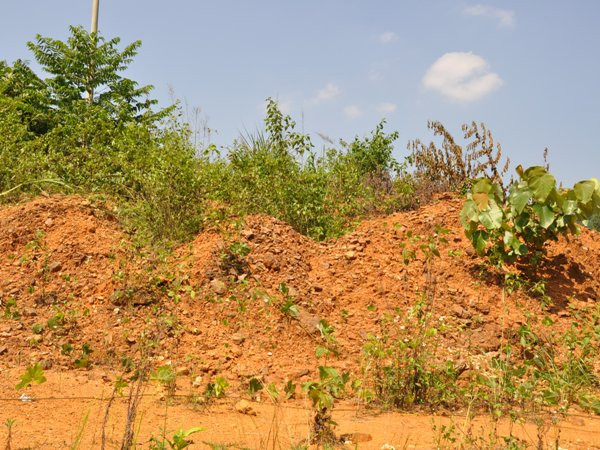  Sẽ điều tiết giá đất theo cung - cầu của thị trường ảnh 1