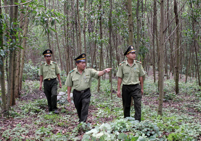 Kon Tum sử dụng hơn 123 tỷ đồng chi trả dịch vụ môi trường rừng ảnh 1