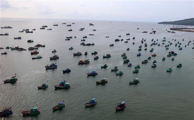 Tiền Giang hiện đại hóa khai thác hải sản để vững vàng bám biển ảnh 1