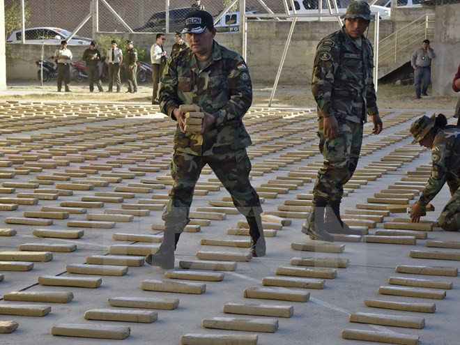 Bolivia ký hiệp định phòng chống ma túy với 5 nước láng giềng ảnh 1