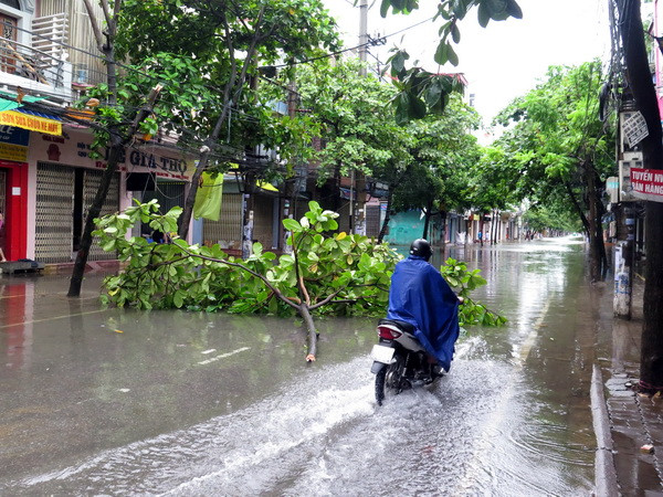Áp thấp nhiệt đới có khả năng mạnh lên thành bão, cả nước có mưa ảnh 1