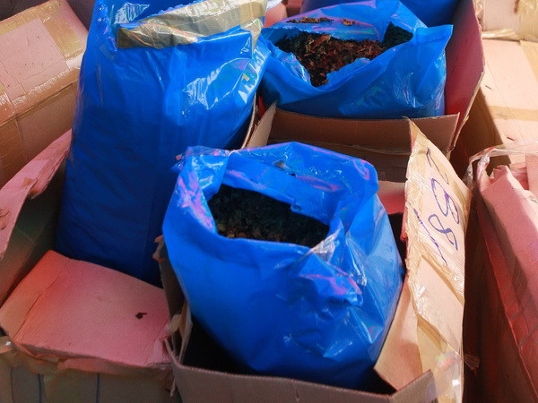 Hà Nội: Tiêu hủy gần 2,3 tấn lá Khat chứa chất ma túy ảnh 1