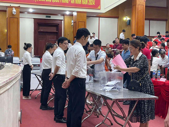 TTXVN_2210 dau gia dat Ha Noi 4.jpeg