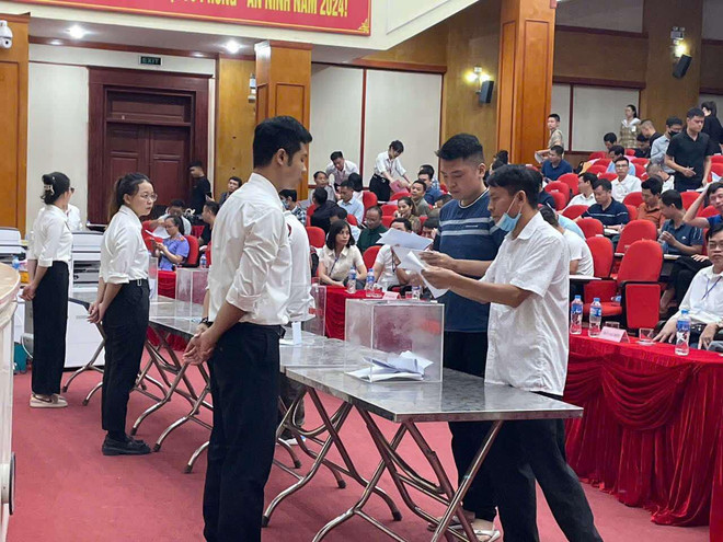 TTXVN_2210 dau gia dat Ha Noi 5.jpeg