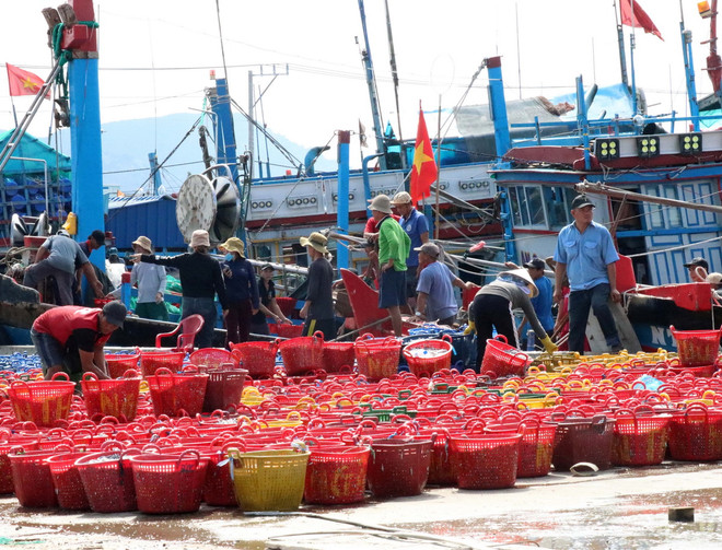 TTXVN_2210 Ninh Thuan kinh te bien 2.jpg