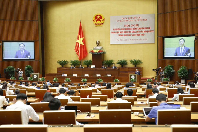 Bảo đảm chất lượng cao nhất của các dự án luật trình Quốc hội ảnh 1