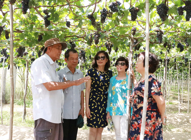 Lượng khách đến Ninh Thuận dịp nghỉ lễ tăng gấp 3 lần năm ngoái ảnh 1