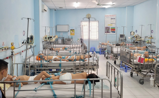 TP.HCM quyết liệt kìm đà tăng của sốt xuất huyết và tay chân miệng ảnh 1