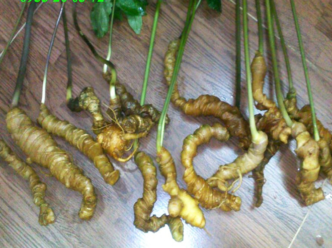 Công bố top 10 đặc sản quà tặng nổi tiếng Việt Nam năm 2017 ảnh 8