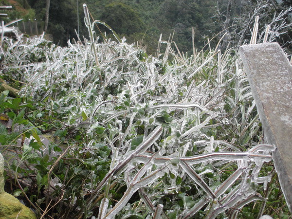 Điện Biên nhiệt giảm sâu, xuất hiện băng mỏng trên vùng cao Tủa Chùa ảnh 1