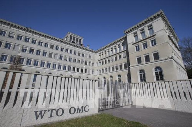 Cải cách WTO: Con đường dài, không hề bằng phẳng ảnh 1