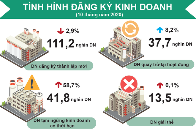 Hơn 110.000 doanh nghiệp thành lập mới trong 10 tháng ảnh 1