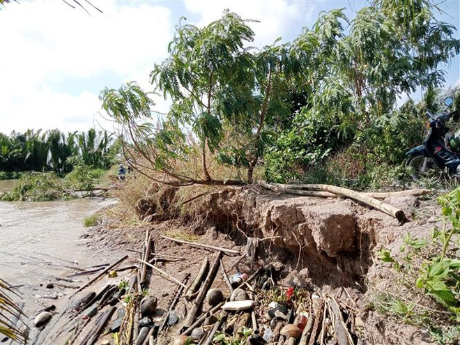Sóc Trăng: Sạt lở tại huyện Cù Lao Dung đang diễn biến phức tạp ảnh 1