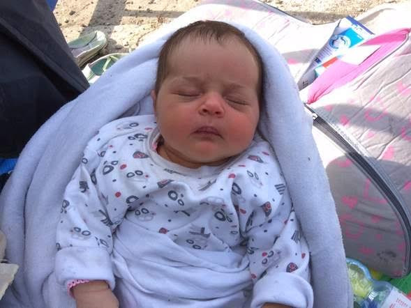 Em bé tị nạn sinh ra trên biển bị kẹt lại tại biên giới Hungary ảnh 1