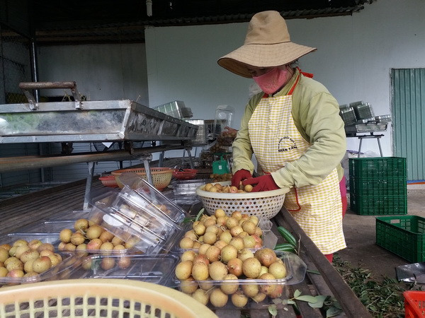 Xây dựng thương hiệu nhãn xuồng “Made in Bà Rịa-Vũng Tàu” ảnh 1