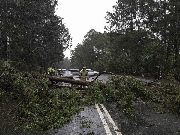 Tuyến đường Đà Lạt-Nha Trang vẫn ách tắc do ảnh hưởng mưa bão ảnh 1