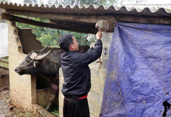 Khu vực Bắc Bộ chủ động ứng phó với thời tiết nguy hiểm ảnh 1