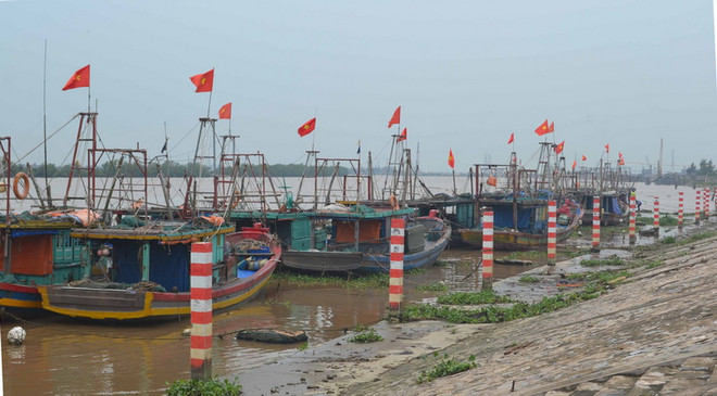 Hải Phòng, Nam Định, Thái Bình triển khai phương án chống bão số 3 ảnh 1
