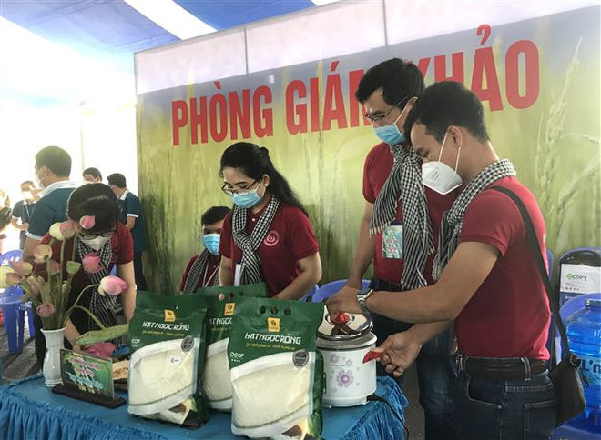 Festival Lúa gạo Việt Nam lần thứ 5: Tỏa sáng thương hiệu gạo Việt Nam ảnh 3