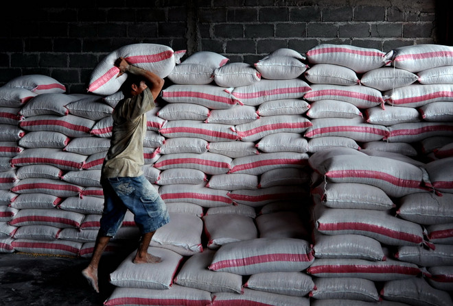 Giá lương thực tiếp tục xu hướng giảm trong vòng 16 tháng qua ảnh 1