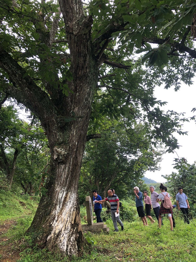 Đánh giá khảo sát Công viên Địa chất Toàn cầu UNESCO Non nước Cao Bằng ảnh 2
