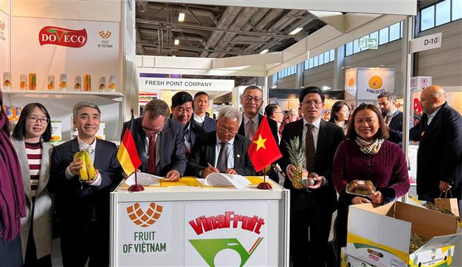 Đại sứ Vũ Quang Minh (thứ ba từ phải sang) chứng kiến lễ ký kết Biên bản ghi nhớ (MOU) giữa Vinafruit và Công ty Skaro, đại diện (BVMW) tại Fruit Logistica 2023. (Ảnh: Phương Hoa/TTXVN) Gian hàng Việt Nam nhộn nhịp nhất Hội chợ Fruit Logistica tại Đức ảnh 3