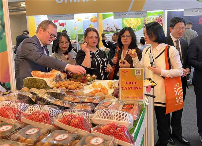 Các khách hàng quốc tế thưởng thức hoa quả Việt Nam tại Fruit Logistica 2023. (Ảnh: Phương Hoa/TTXVN) Gian hàng Việt Nam nhộn nhịp nhất Hội chợ Fruit Logistica tại Đức ảnh 1