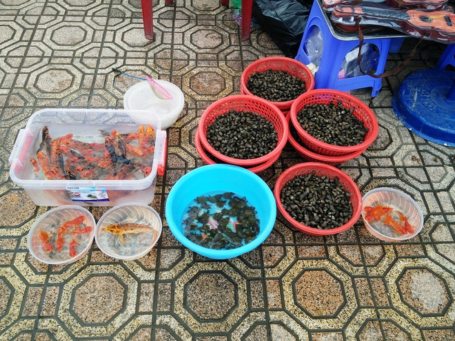 Phản cảm cảnh rao bán rùa tai đỏ để phóng sinh ngay trước cửa chùa ảnh 7