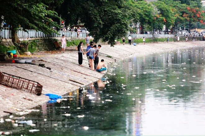 Chất lượng nước mặt đang suy thoái tới mức nguy hiểm với con người ảnh 1