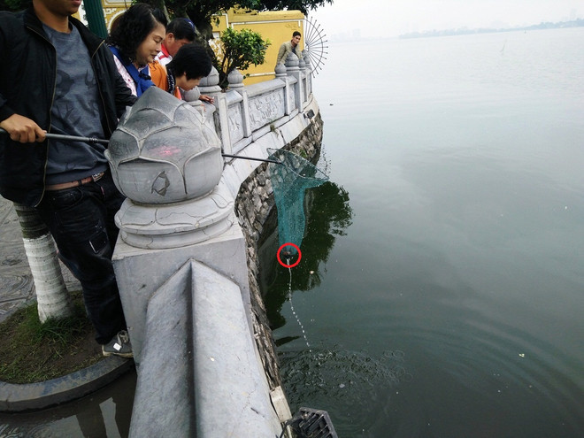 Phản cảm cảnh rao bán rùa tai đỏ để phóng sinh ngay trước cửa chùa ảnh 9