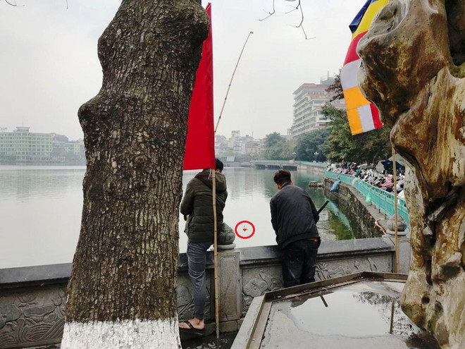 Phản cảm cảnh rao bán rùa tai đỏ để phóng sinh ngay trước cửa chùa ảnh 2