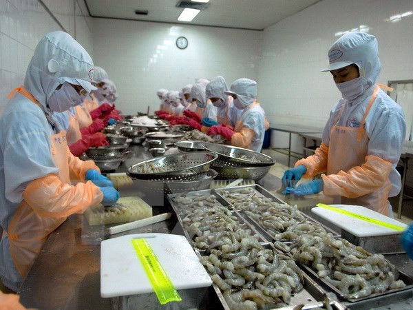Chế biến tôm đông lạnh xuất khẩu. (Ảnh: Danh Lam/TTXVN) Sự kiện trong nước 16-22/10: Châu Thị Thu Nga lĩnh án tù chung thân ảnh 5
