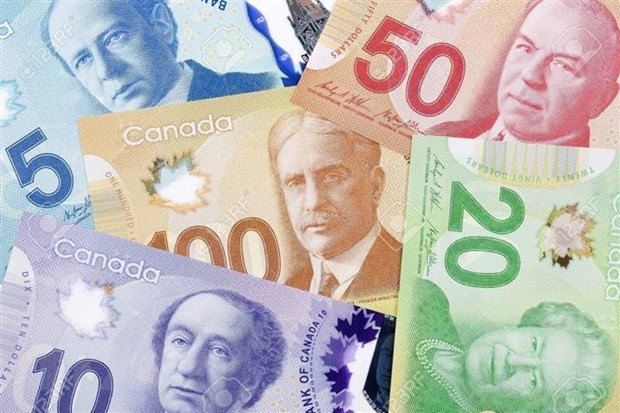 RBC: Tỷ lệ vỡ nợ của người tiêu dùng Canada có thể tăng gần 30% ảnh 1