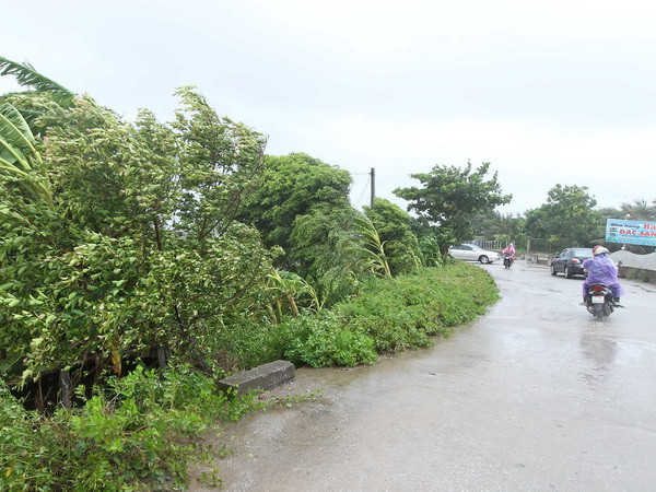 Công điện của Thủ tướng về việc chủ động ứng phó với bão số 1 ảnh 1