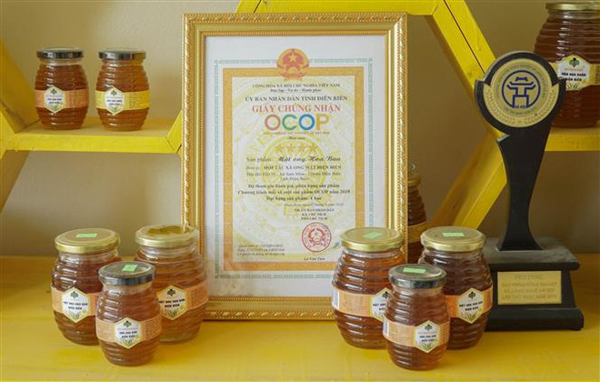 Mật ong Việt Nam có nguy cơ bị điều tra chống bán phá giá ảnh 1