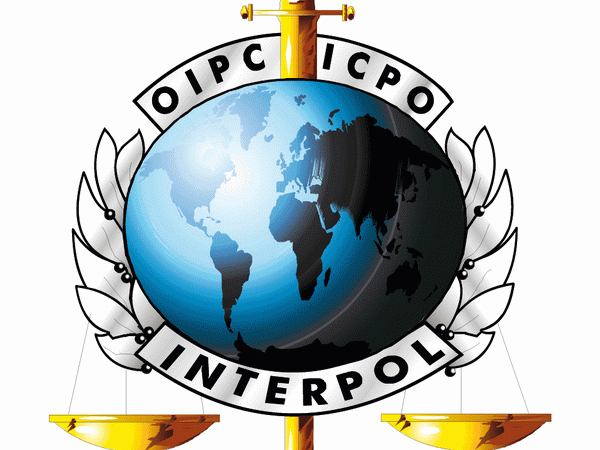 GCC nhất trí thành lập lực lượng chung "Interpol vùng Vịnh" ảnh 1
