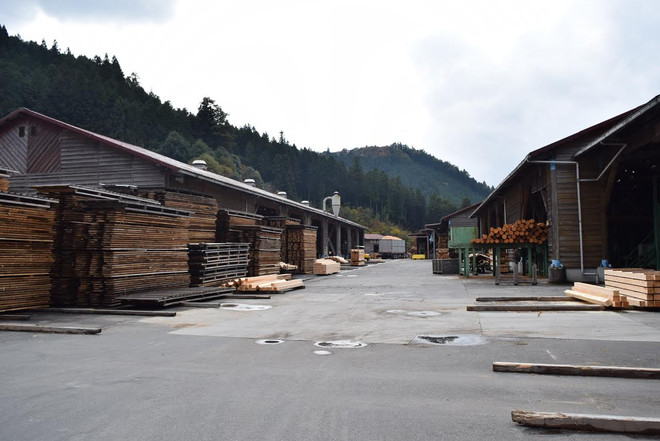 Kochi - Viên ngọc xanh thiên nhiên của xứ sở Mặt trời mọc ảnh 1