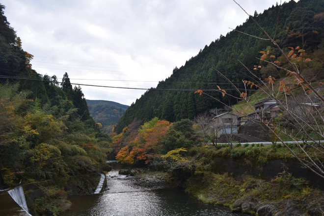 Kochi - Viên ngọc xanh thiên nhiên của xứ sở Mặt trời mọc ảnh 4