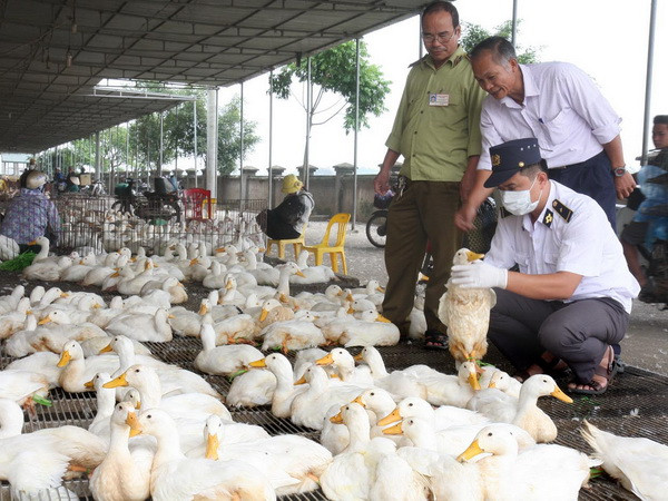 Tổ chức chiến dịch kiểm tra an toàn thực phẩm dịp Tết Nguyên đán ảnh 1