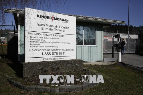 Tòa án Canada bác bỏ việc mở rộng đường ống dẫn dầu Trans Mountain ảnh 1