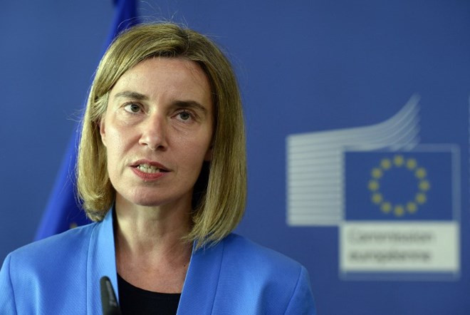 EU: Còn quá sớm để bình luận về các vùng an toàn tại Syria ảnh 1