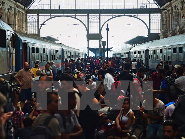 Đức, Áo sẵn sàng tiếp nhận hàng nghìn người di cư tại Hungary ảnh 1
