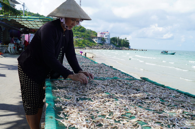 Kiên Giang giữ thương hiệu cho sản phẩm cá khô xứ biển, đảo ảnh 1