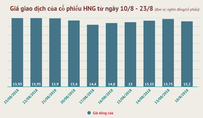 Nhân sự cao cấp của Hoàng Anh Gia Lai ra đi sau khi 'bắt tay' Thaco ảnh 2