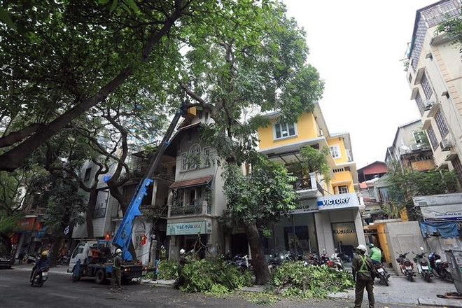 Thành phố Hà Nội chỉnh trang đô thị cho dịp Tết Nguyên đán 2023 ảnh 2