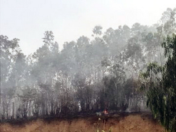 Huy động 4 xe cứu hỏa dập tắt đám cháy rừng tại Bãi Cháy ảnh 1