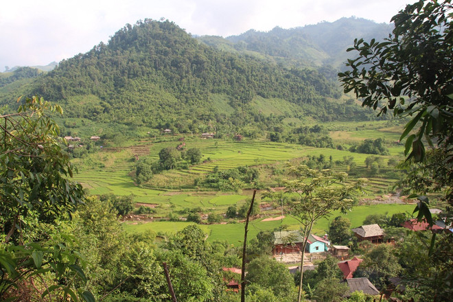 Thủy điện “mọc” giữa Khu bảo tồn: Có nên đánh đổi rừng lấy "bom nước"? ảnh 3